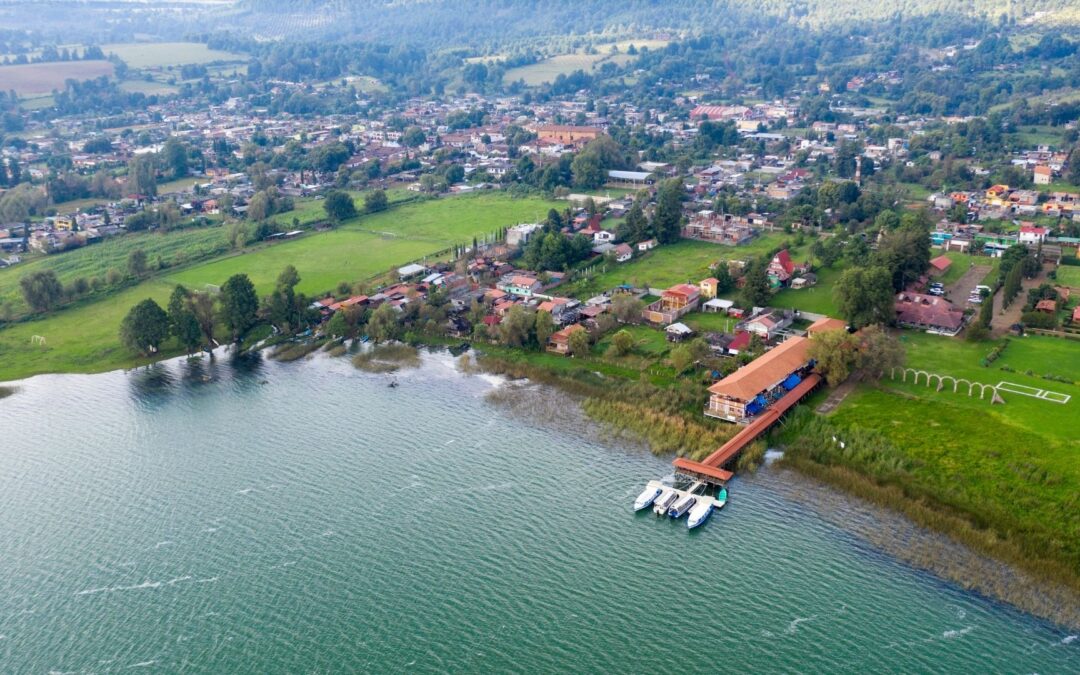 Returning to my roots